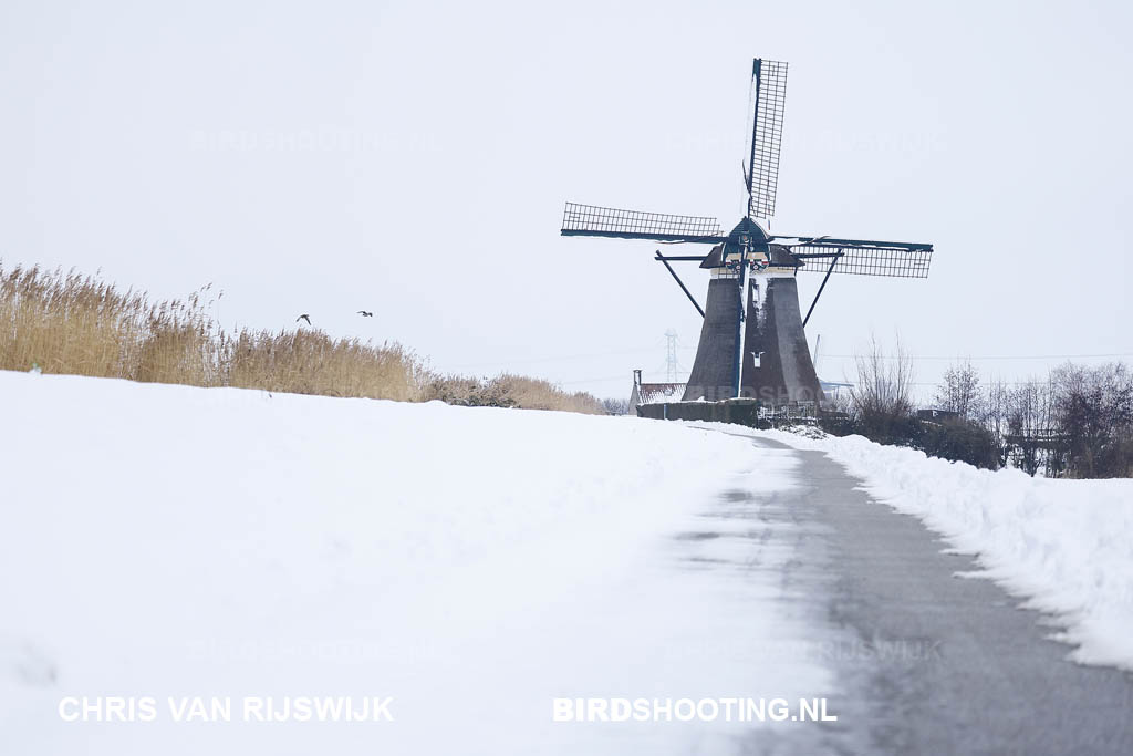 Nederland Rottemeren 26 M2 5570