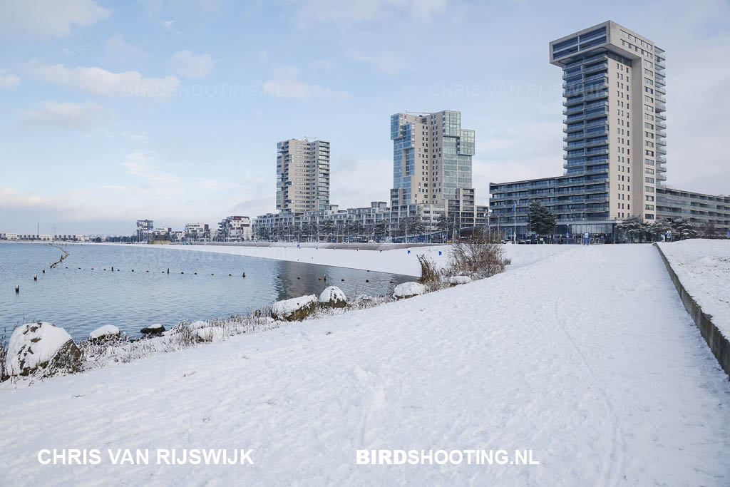 Nederland Rotterdam 26 M2 5272